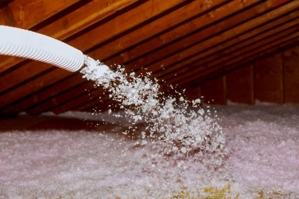 Best DIY Insulation Kits and Guidance in Buchanan, GA