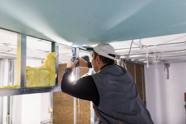 Best Insulation Maintenance and Repair in Buchanan, GA