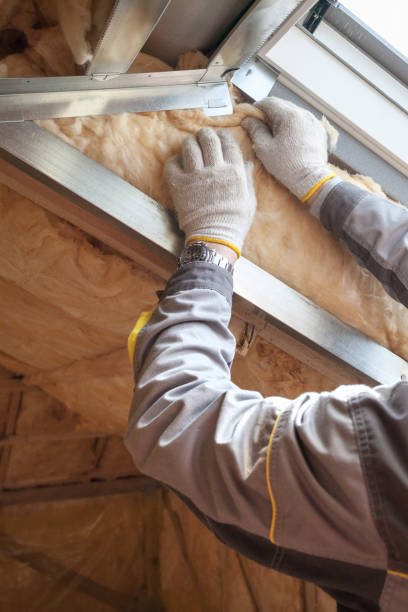 Best Blown-in Insulation in Buchanan, GA