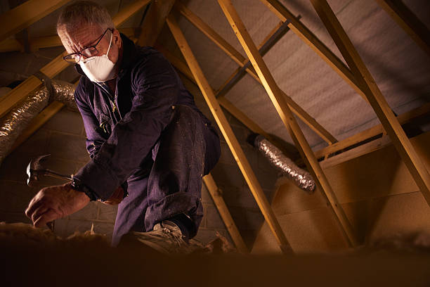Best Eco-Friendly Insulation in Buchanan, GA